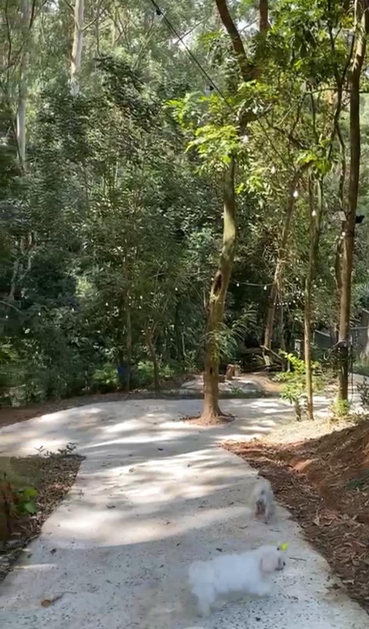 Quem Somos BOSQUE 3 Quem Somos