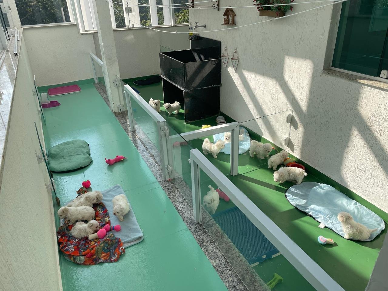Quem Somos SOLARIUM MATERNIDADE Quem Somos
