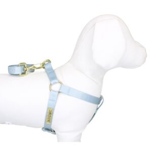 COLETE PATA CHIC – SR. URSO M