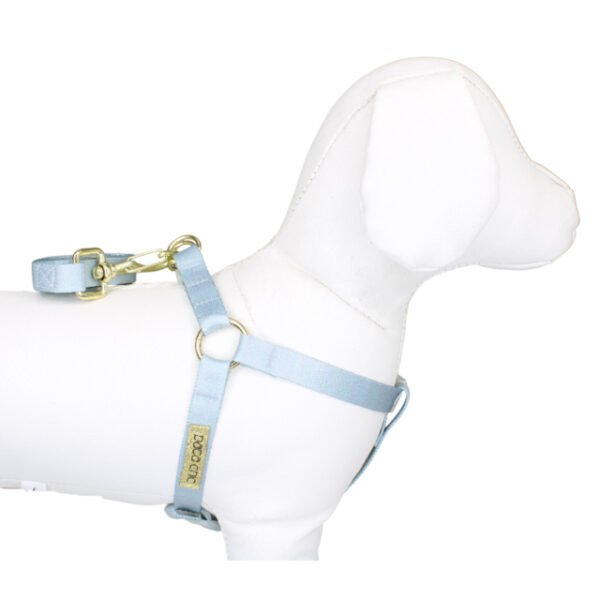 COLETE PATA CHIC - SR. URSO M - Imagem 2