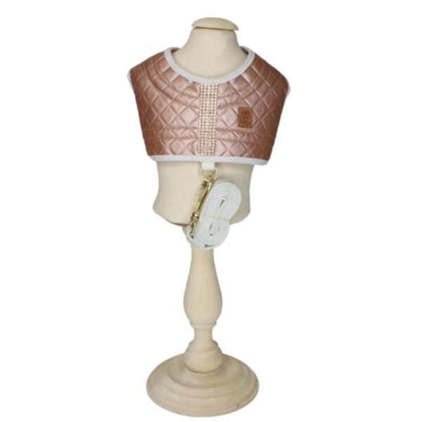 COLETE COM GUIA STRASS - COBRE P